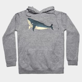 Whale Hoodie